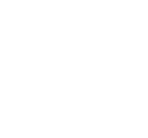 Life Insurance icon